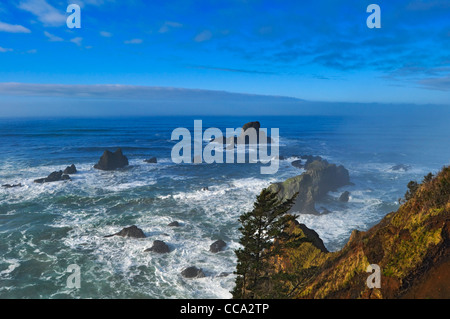 Sur la côte de l'Oregon d'Ecola offre des vues spectaculaires Banque D'Images