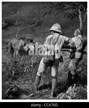 1916 Grande chasse Chasse au Lion en Afrique de l'Est à baïonnette fusil de chasse des proies prédateurs de la bête sauvage safari animal pédonculées harcèlement Banque D'Images