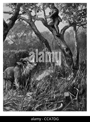 1916 East Africa Lion attaquant l'estafette motor bike messenger relation prédateur-proie bête sauvage safari Jungle king arbre cachant bush Banque D'Images