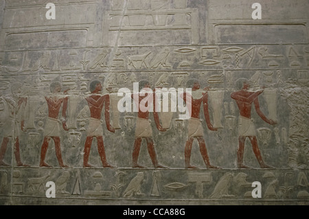 Mastaba de Kagemni (2350 BC). Hall de la Stèle fausse porte. Fonctionnaires portant offrandes au Ka du défunt. Saqqara. Banque D'Images