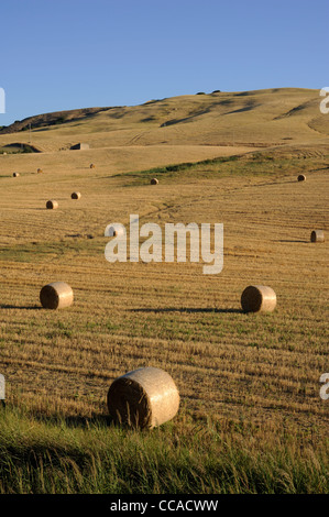 Italie, Basilicate, campagne, vallée du Sauro Banque D'Images