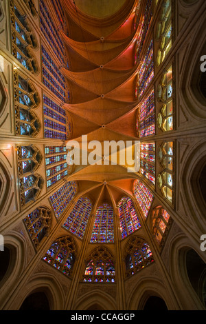 Jusqu'à l'aile au toit et vitraux de cathédrale Saint Gatien de Tours, France. Banque D'Images