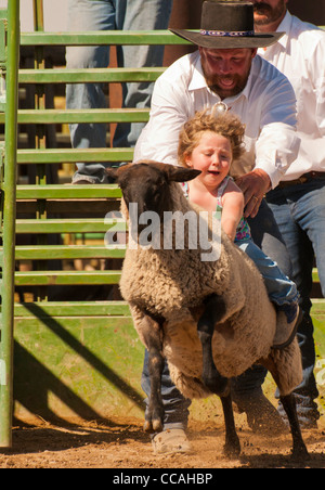 Rodeo,Jeune Cowgirl cheval mouton moutons durant le concours de casse dans l'Idaho Banque D'Images