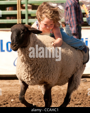 Rodeo, jeune Cowgirl cheval mouton moutons durant le concours de casse dans l'Idaho Banque D'Images