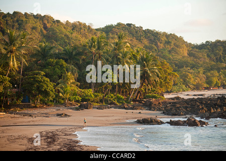 Tôt le matin, à Playa Montezuma beach au petit village touristique Montezuma, Péninsule de Nicoya, Costa Rica, Amérique Centrale Banque D'Images