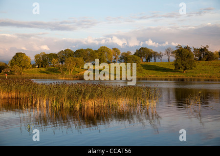 Soirée calme le long de la rivière Shannon, près de Carrick on Shannon, Irlande, Comté de Leitrim. Banque D'Images