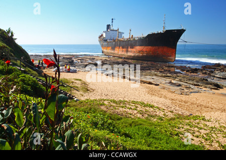 La MT Phoenix qui s'est échoué à Sheffield Beach, au nord de Durban sur la côte nord du Kwazulu Natal, Afrique du Sud Banque D'Images