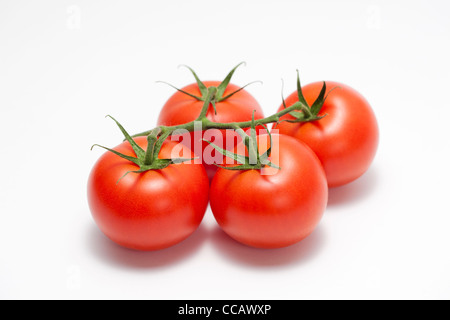 Les tomates Banque D'Images