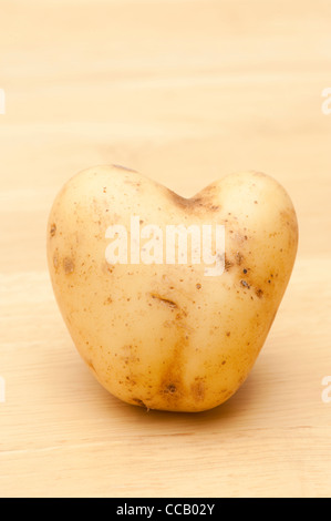 En forme de coeur de pomme de terre 'Vivaldi' Banque D'Images