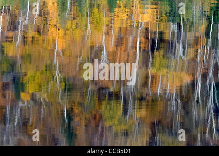 Craftsbury Vermont VT feuillage automne coloré reflété dans le lac Eligo Banque D'Images