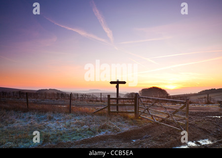 Un hiver glacial le lever du soleil sur la longue distance Ridgeway path au Hackpen Hill, Wiltshire, England, UK Banque D'Images