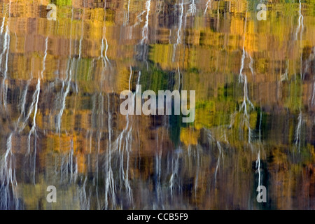 Craftsbury Vermont VT feuillage automne coloré reflété dans le lac Eligo Banque D'Images