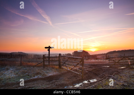 Un hiver glacial le lever du soleil sur la longue distance Ridgeway path au Hackpen Hill, Wiltshire, England, UK Banque D'Images