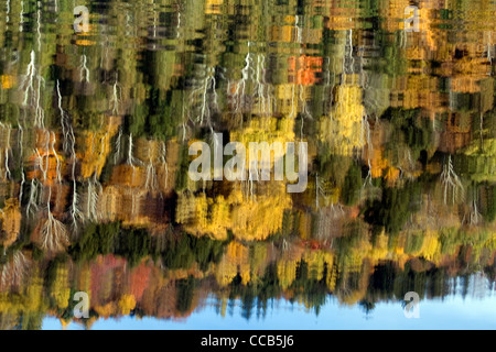 Craftsbury Vermont VT feuillage automne coloré reflété dans le lac Eligo Banque D'Images