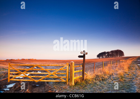 Un hiver glacial le lever du soleil sur la longue distance Ridgeway path au Hackpen Hill, Wiltshire, England, UK Banque D'Images