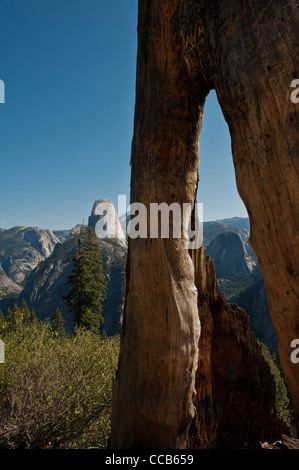 Demi Dôme vu du sentier panoramique Point glaciaire. Le Parc National Yosemite. La Californie. USA Banque D'Images