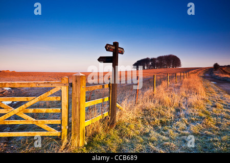 Un hiver glacial le lever du soleil sur la longue distance Ridgeway path au Hackpen Hill, Wiltshire, England, UK Banque D'Images