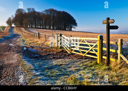 Un hiver glacial le lever du soleil sur la longue distance Ridgeway path au Hackpen Hill, Wiltshire, England, UK Banque D'Images