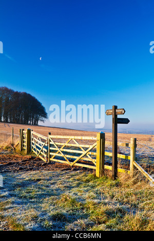 Un hiver glacial le lever du soleil sur la longue distance Ridgeway path au Hackpen Hill, Wiltshire, England, UK Banque D'Images