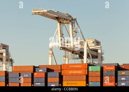 Grues à conteneurs prêts à décharger des marchandises Des conteneurs du navire au port d'Oakland en Californie - USA Banque D'Images