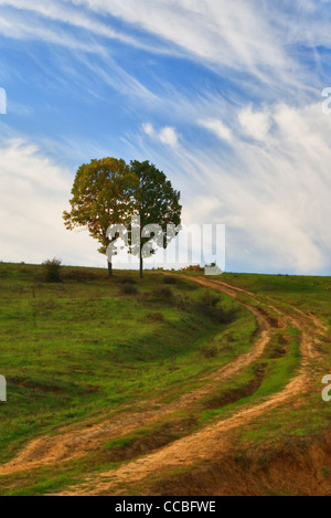 Deux arbres debout ensemble à la fin de chemin de terre dans un champ vert sur une journée ensoleillée Banque D'Images