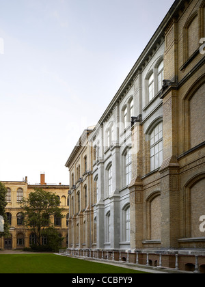 La reconstruction et la rénovation du Musée d'histoire naturelle de Berlin. Banque D'Images