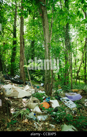 Les déchets déversés dans les bois Banque D'Images