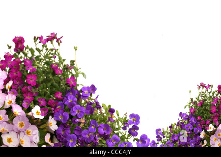 Fleurs de Printemps border Banque D'Images