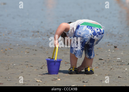 Garçon 3-4 ans Caucasian collecter des roches sur la plage Banque D'Images