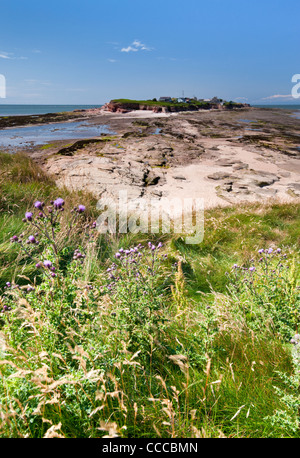 Hilbre Island, Dee estuaire, le Wirral, Merseyside, England, UK Banque D'Images