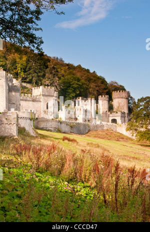 Gwrych Castle, près de Abergele, Arrondissement de Conwy, Nord du Pays de Galles, Royaume-Uni Banque D'Images