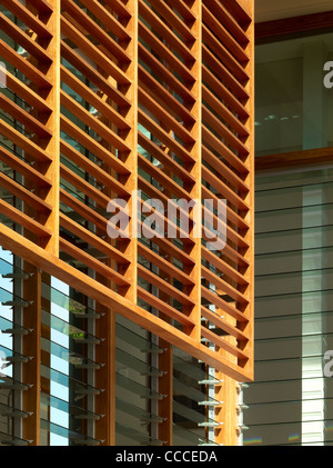 Maison à Manley, Sydney, Australie, par Assemblage - Peter Chivers, Architecte, détail de l'ombre solaire Banque D'Images