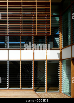 Maison à Manley, Sydney, Australie, par Assemblage - Peter Chivers, architecte de l'ombre solaire, portes, cour Banque D'Images