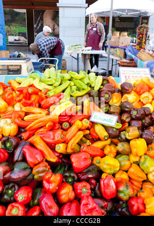 Turque et italienne bio poivrons Cubanelle at farmers market - San Francisco, California USA Banque D'Images
