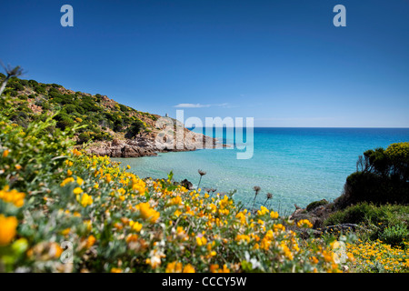 Chia, Monte Cogoni, Campana, Chia, Domus de Maria (CA), Sardaigne, Italie, Europe Banque D'Images