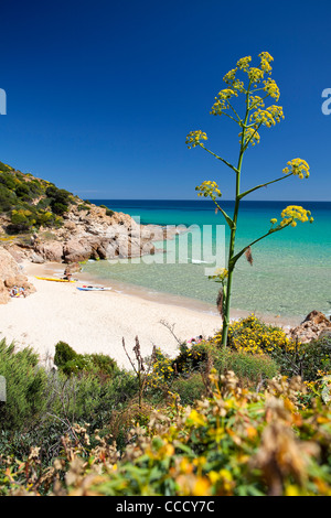 Chia, Monte Cogoni, Campana, Chia, Domus de Maria (CA), Sardaigne, Italie, Europe Banque D'Images