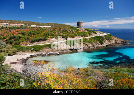 Cala d'Oliva, l'île de l'Asinara, Porto Torres, en Sardaigne, Italie, Europe Banque D'Images