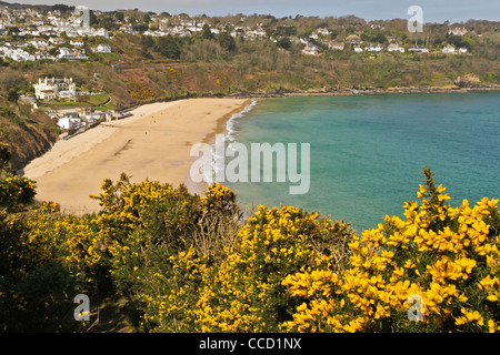 Une vue de la plage de Carbis Bay dans la région de West Cornwall, à marée basse. Banque D'Images