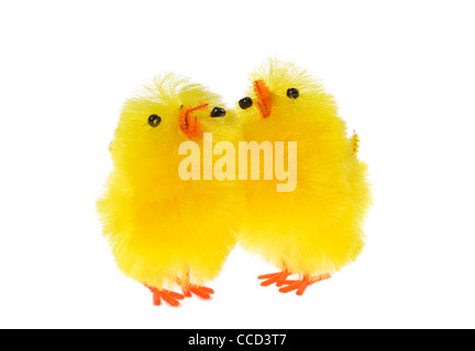 Chicklings jaune photo sur le fond blanc Banque D'Images