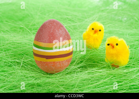 Poussins et d'oeufs de Pâques colorés peints sur l'herbe verte Banque D'Images