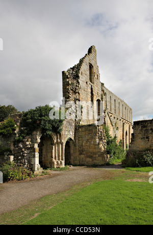 L'Abbaye de Jervaulx ruines, division nord Yorkshire Banque D'Images