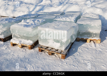 Gros blocs de glace translucide au soleil : les préparatifs pour le festival des sculptures en glace Banque D'Images