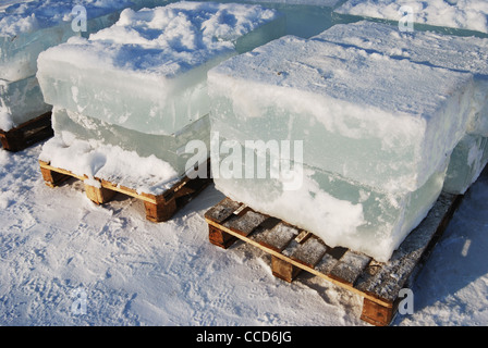 Gros blocs de glace translucide au soleil : les préparatifs pour le festival des sculptures en glace Banque D'Images