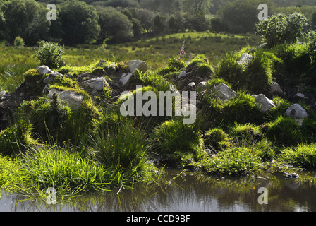 Environs de Lough Melvin, County Leitrim, Connacht, l'Irlande, l'Europe. Banque D'Images