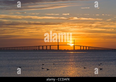 Aube sur Bob Graham Sunshine Skyway Bridge un pont à haubans sur Tampa Bay, Floride, Banque D'Images