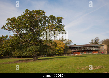 Centre des visiteurs dans le Yorkshire Sculpture Park Banque D'Images