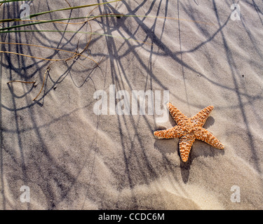 Plage de sable de mer sur Banque D'Images