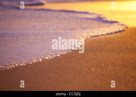 Lave-vague sur le sable au coucher du soleil, faible profondeur de champ Banque D'Images