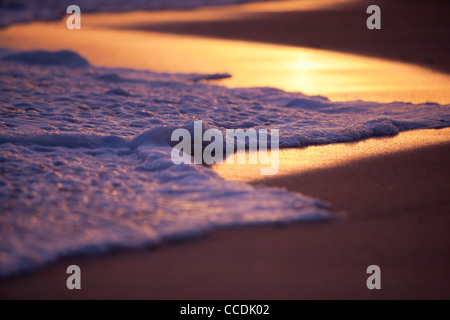 Lave-vague sur le sable au coucher du soleil, faible profondeur de champ Banque D'Images