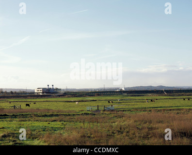 Centre des visiteurs de la RSPB Rainham, van Heyningen et architectes Haward, vue du marsh Banque D'Images